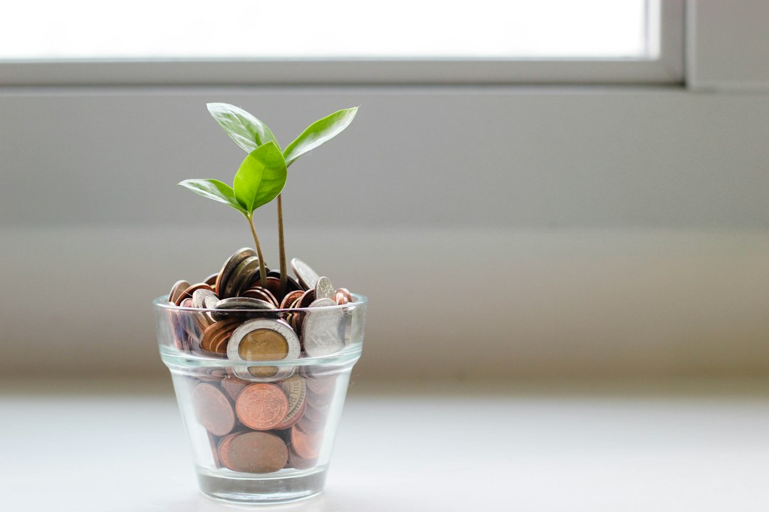 Sparingstips: Slik Får Du Mer Penger På Kontoen